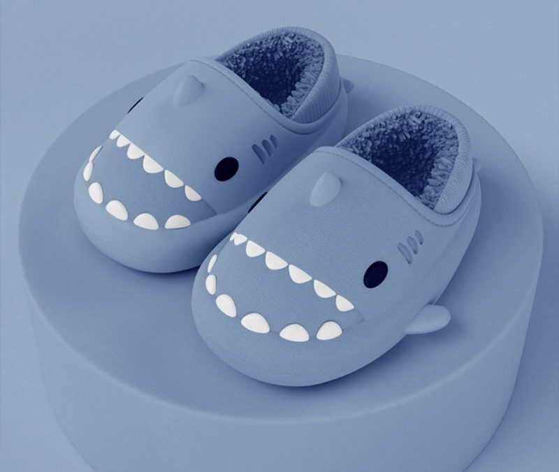 Pantoufle requin : comment rester confort chez vous ?